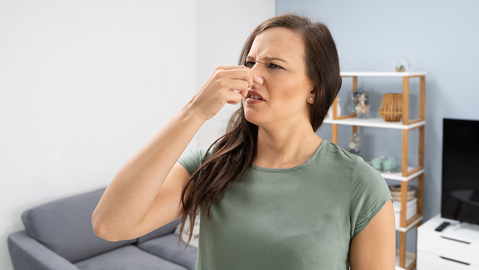 Six Common Air Conditioner Smells Explained and How to Repair the Issue